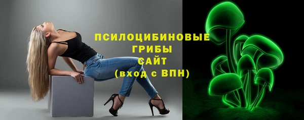 амф Усинск