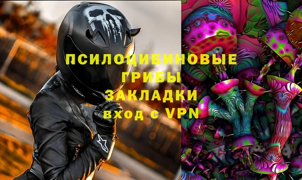 прущая мука Арсеньев