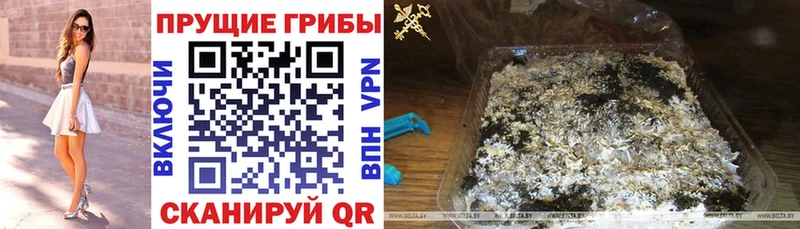 где найти   Новосибирск  mega ONION  Псилоцибиновые грибы мухоморы 