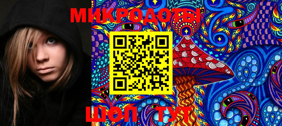 Галлюциногенные грибы Cubensis Новосибирск