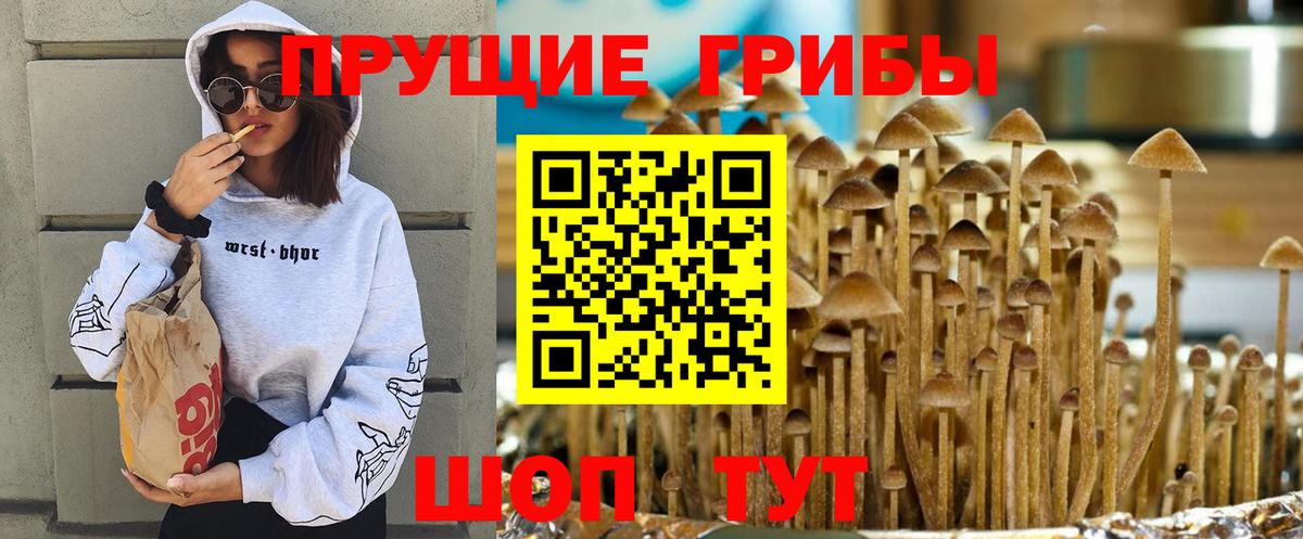 Галлюциногенные грибы ЛСД Новосибирск