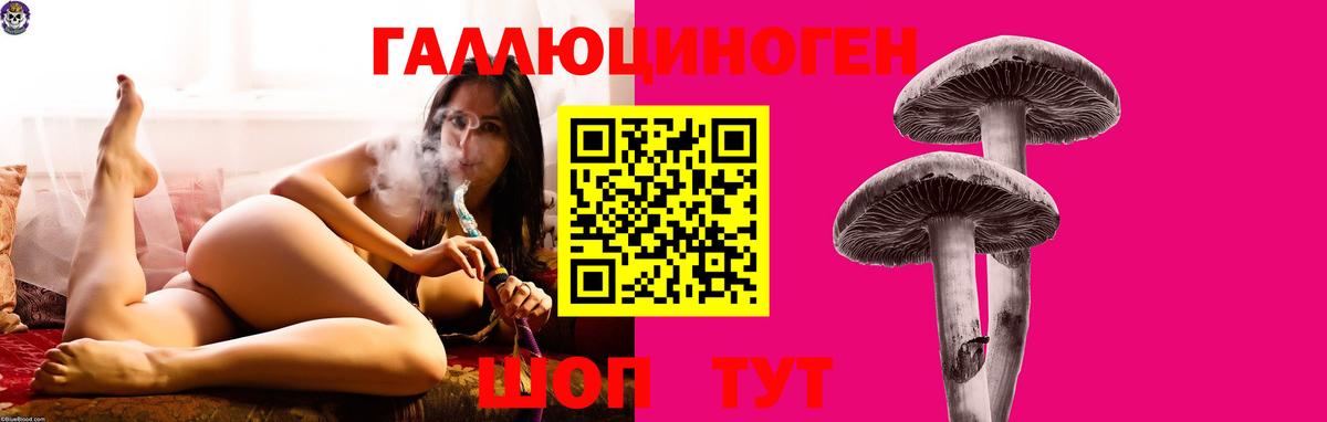 Псилоцибиновые грибы прущие грибы  Псилоцибиновые грибы GOLDEN TEACHER  Новосибирск  Вход с VPN 